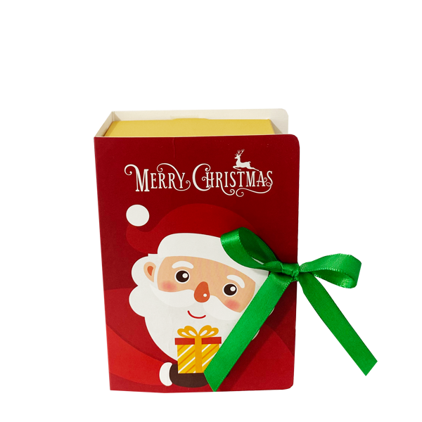 Caja Santa's Book