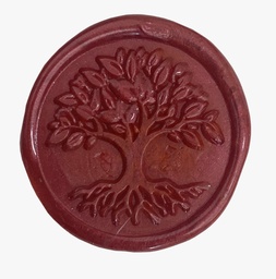 [CEVIN] Cera Vino