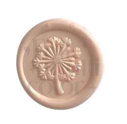 [cabezalDIENTEDELEÓN] cabezal DIENTE DE LEÓN